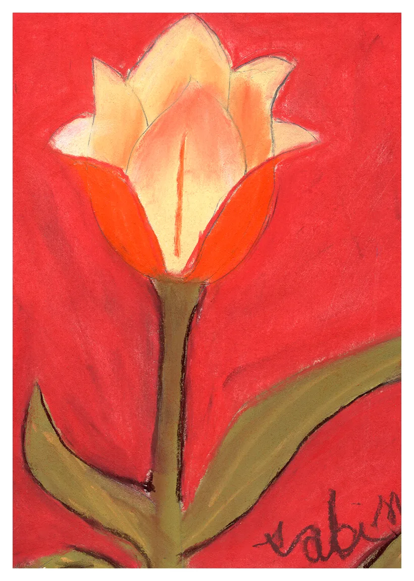 Sabina M - 6 años El tulipan colorado