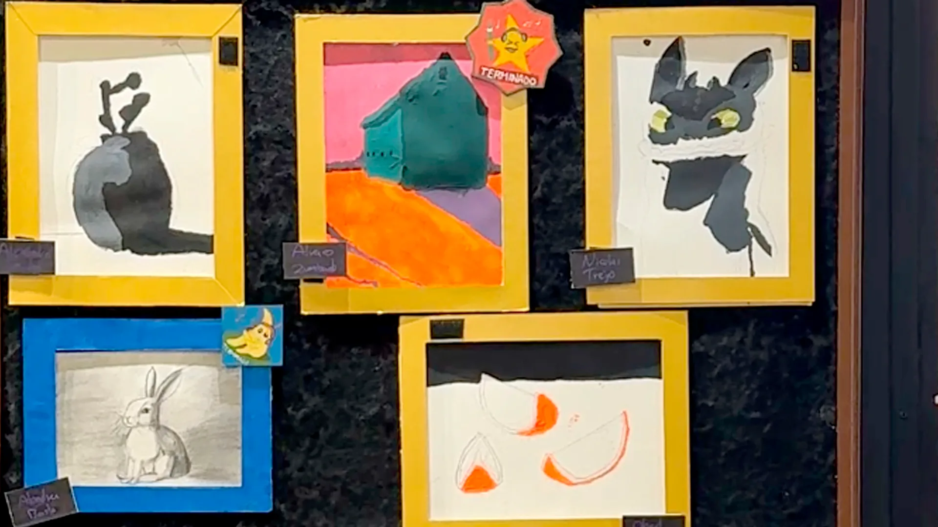 Galería del programa 11