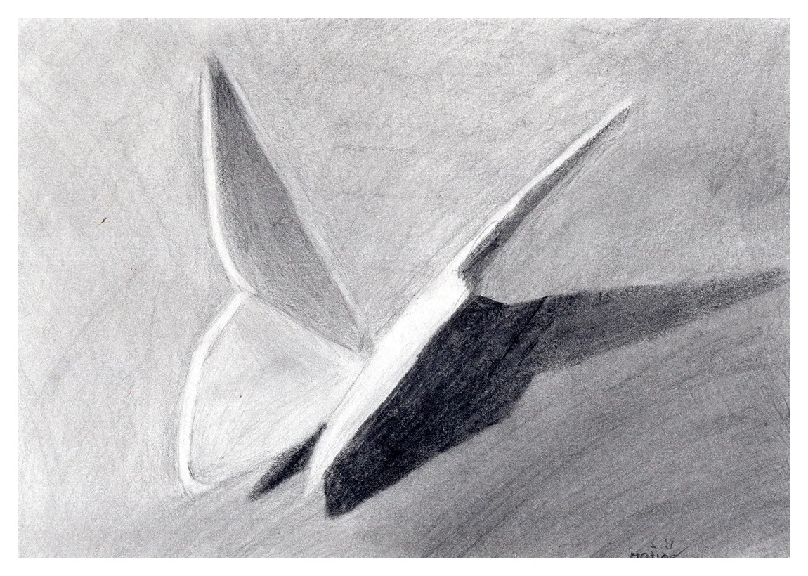 Matias S - 8 años Mariposa de papiro