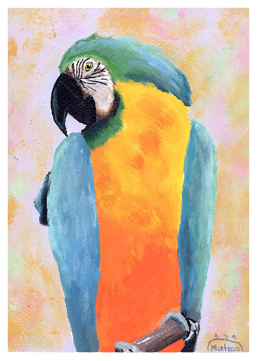 Matias S - 8 años Guacamaya vibrante